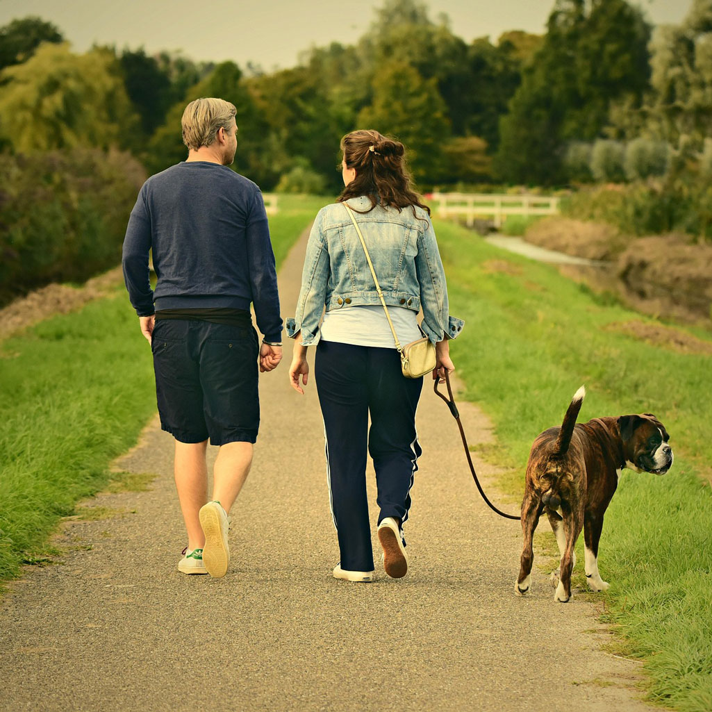 Adults walking their dog